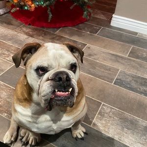 Meet your Posher, Kyli